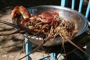 Guest House Casablanca Campo Del Suizo meal